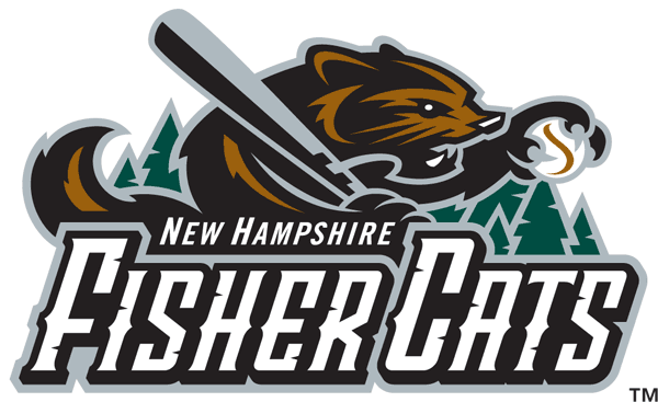 New Hampshire Fisher 2004-2007 Primary Logo iron on paper